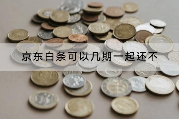 京東白條可以幾期一起還不？詳細(xì)解析