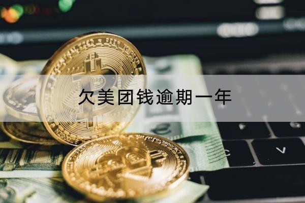 欠美團(tuán)錢逾期一年怎么應(yīng)對？別慌，方法很多！