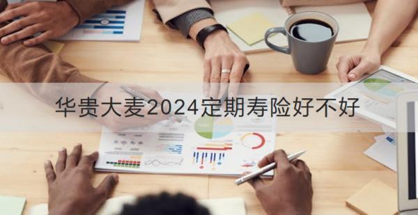 華貴大麥2024定期壽險(xiǎn)好不好？保費(fèi)多少？