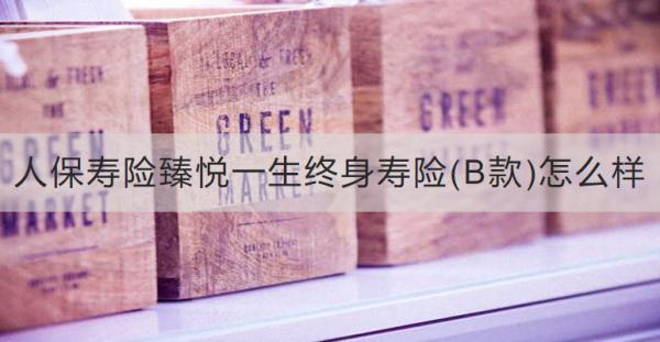 人保壽險臻悅一生終身壽險(B款)怎么樣？收益怎樣？