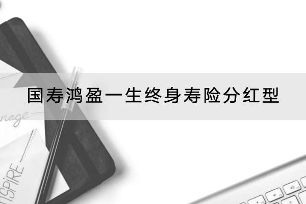 國壽鴻盈一生終身壽險(xiǎn)分紅型有哪些投保要求？提供什么保障？