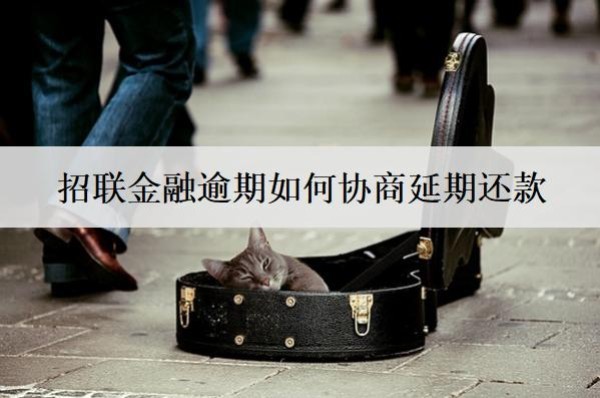 招聯(lián)金融逾期如何協(xié)商延期還款？按這個步驟協(xié)商