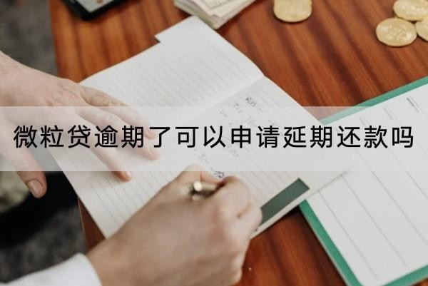 微粒貸逾期了可以申請延期還款嗎？延期注意事項