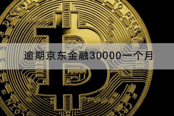 逾期京東金融30000一個(gè)月罰息多少？減免政策解析