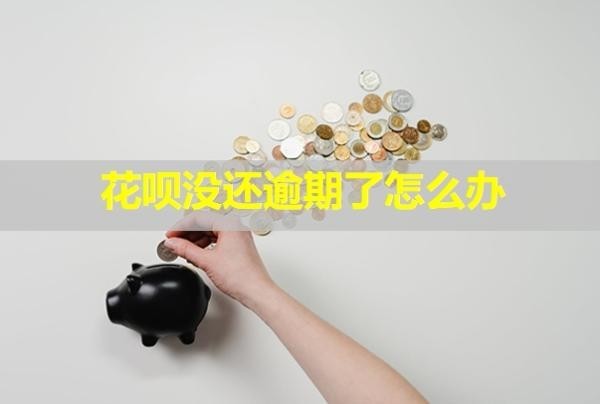 花唄沒還逾期了怎么辦？