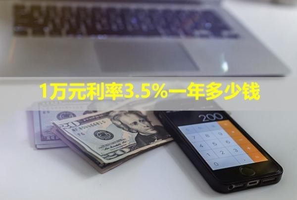 1萬元利率3.5%一年多少錢？可以協(xié)商還本金嗎？