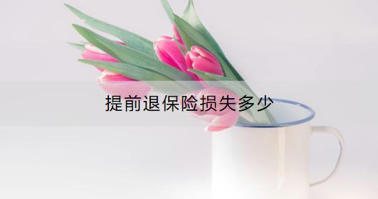 提前退保險(xiǎn)損失多少？流程是什么？