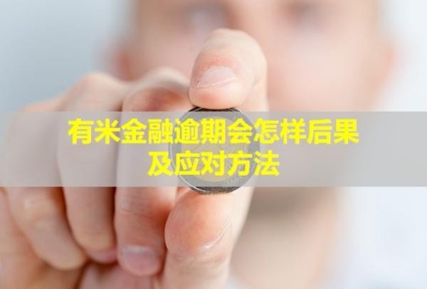 有米金融逾期會(huì)怎樣后果及應(yīng)對(duì)方法？