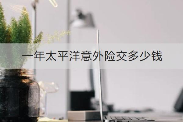 一年太平洋意外險交多少錢