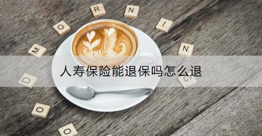 人壽保險(xiǎn)能退保嗎？怎么退？