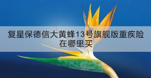 復星保德信大黃蜂13號旗艦版重疾險在哪里買？特點是什么？