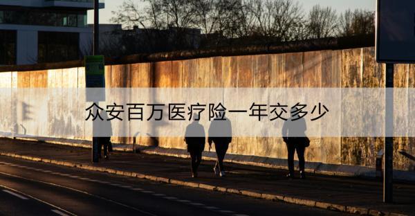 眾安百萬醫(yī)療險一年交多少？如何購買？