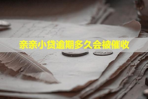 親親小貸逾期多久會被催收？