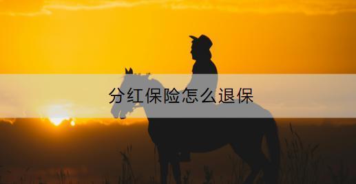 分紅保險(xiǎn)怎么退保？退?？梢酝硕嗌?？