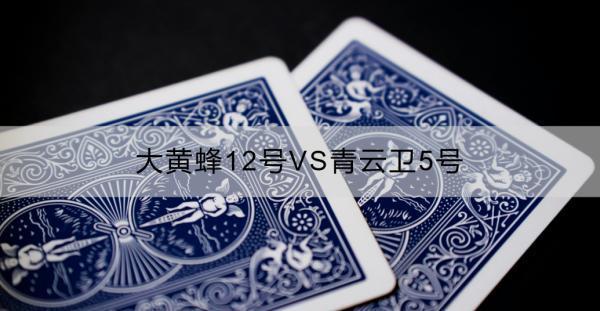 大黃蜂12號VS青云衛(wèi)5號誰更好？選購保險產(chǎn)品時應注意什么？