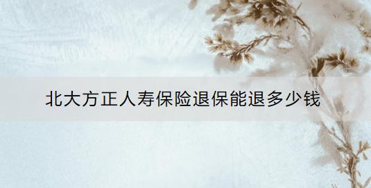 北大方正人壽保險(xiǎn)退保能退多少錢？退保流程是什么？