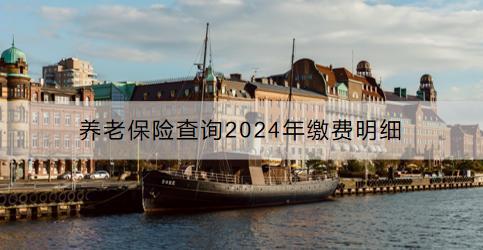 養(yǎng)老保險查詢2024年繳費明細：渠道是什么？注意事項是什么？
