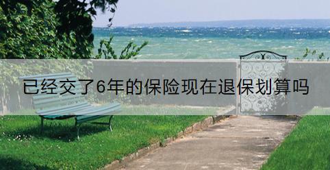 已經(jīng)交了6年的保險現(xiàn)在退保劃算嗎？怎么退保？