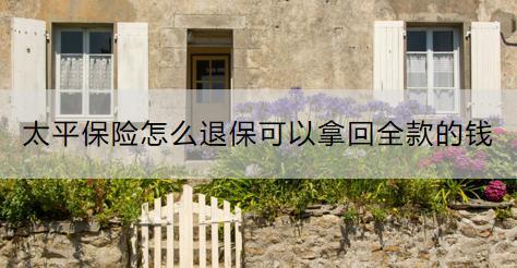 太平保險怎么退?？梢阅没厝畹腻X？退保流程是什么？