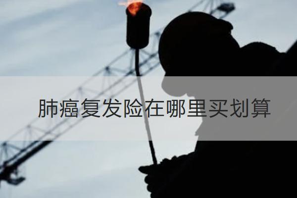 肺癌復(fù)發(fā)險在哪里買劃算？推薦哪款？
