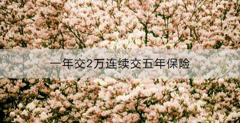 一年交2萬連續(xù)交五年保險是什么保險？值得買嗎?