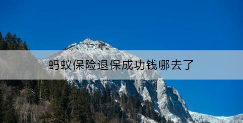 螞蟻保險(xiǎn)怎么退保？螞蟻保險(xiǎn)退保成功錢(qián)哪去了？