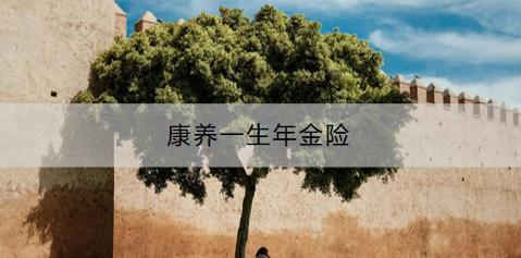 康養(yǎng)一生年金險(xiǎn)怎么樣？如何購買？