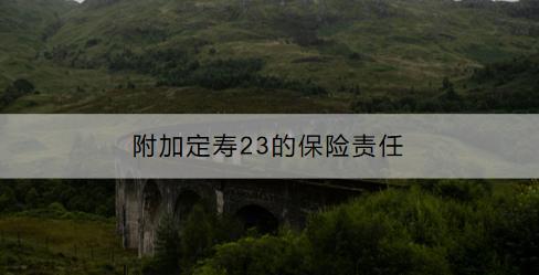 附加定壽23的保險(xiǎn)責(zé)任