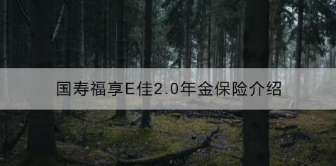 國壽福享E佳2.0年金保險（互聯(lián)網(wǎng)專屬）值得購買嗎？現(xiàn)金價值是多少？