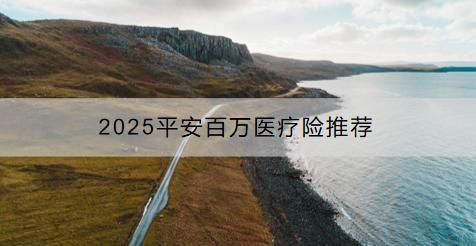 2025平安百萬醫(yī)療險(xiǎn)推薦哪些？如何投保？