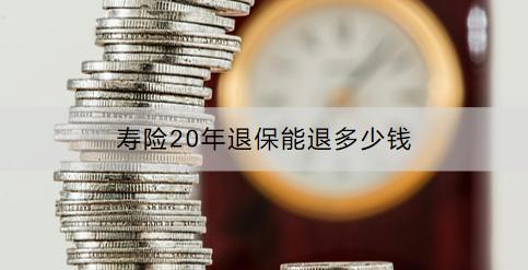 壽險(xiǎn)20年退保能退多少錢(qián)？退保流程是什么？
