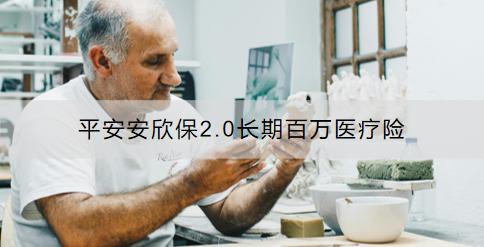 平安安欣保2.0長期百萬醫(yī)療險