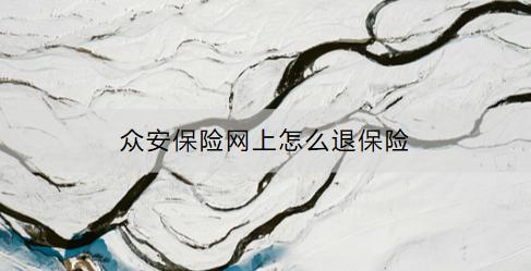 眾安保險網(wǎng)上怎么退保險