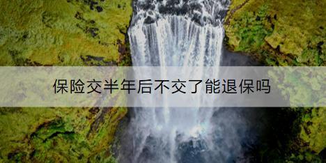保險(xiǎn)交半年后不交了能退保嗎？退保能夠退多少？