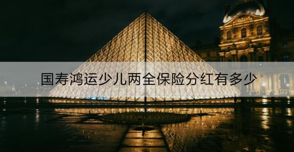 國壽鴻運(yùn)少兒兩全保險怎么樣？國壽鴻運(yùn)少兒兩全保險分紅有多少？