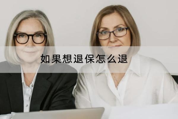 如果想退保怎么退？退保能退多少錢？