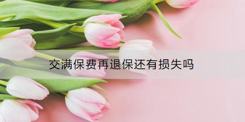 交滿保費(fèi)再退保還有損失嗎？退保流程是什么？