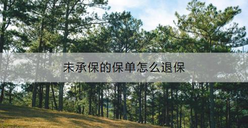 保單待承保是什么？未承保的保單怎么退保？