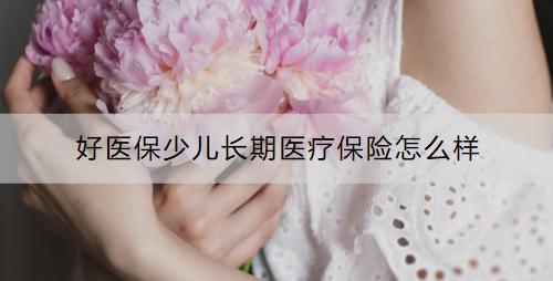 好醫(yī)保少兒長期醫(yī)療保險怎么樣？如何購買？