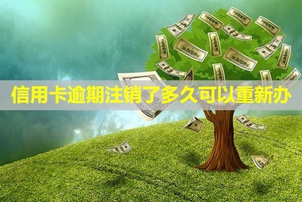 信用卡逾期注銷了多久可以重新辦？還能恢復(fù)嗎？