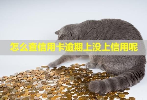 怎么查信用卡逾期上沒上信用呢？記錄多久能消除？