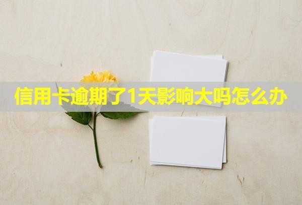 信用卡逾期了1天影響大嗎怎么辦？
