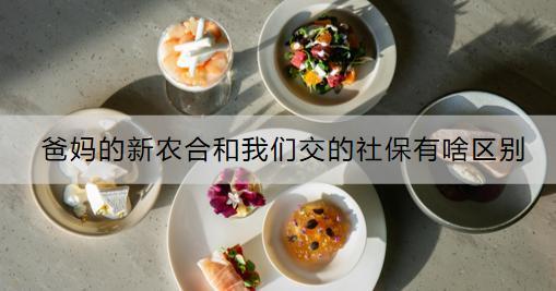 爸媽的新農(nóng)合和我們交的社保有啥區(qū)別？和商業(yè)保險(xiǎn)沖突嗎？