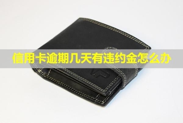 信用卡逾期幾天有違約金怎么辦？會上信用嗎？