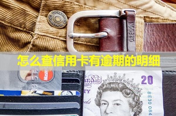 怎么查信用卡有逾期的明細(xì)？上門核實(shí)是真的嗎？