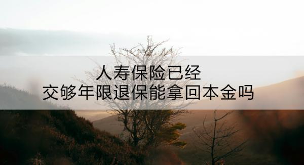 人壽保險(xiǎn)已經(jīng)交夠年限退保能拿回本金嗎？有什么途徑？
