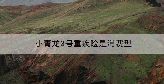 小青龍3號重疾險是消費(fèi)型嗎？保什么？