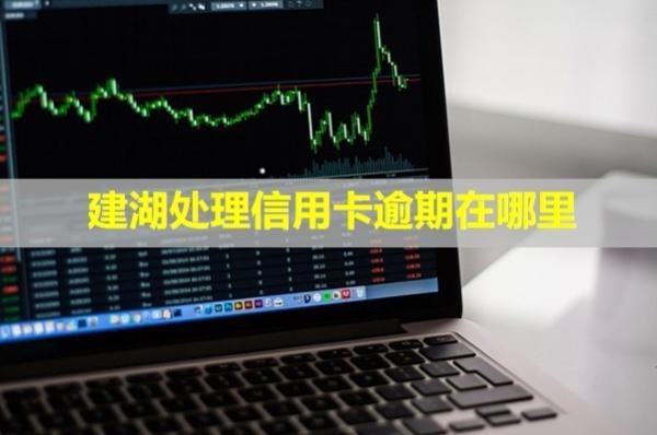 建湖處理信用卡逾期在哪里？多久會上失信名單？