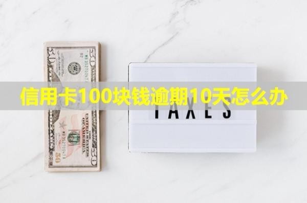信用卡100塊錢逾期10天怎么辦？會怎樣？