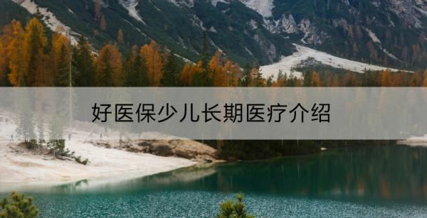 好醫(yī)保少兒長期醫(yī)療介紹？值得買嗎？